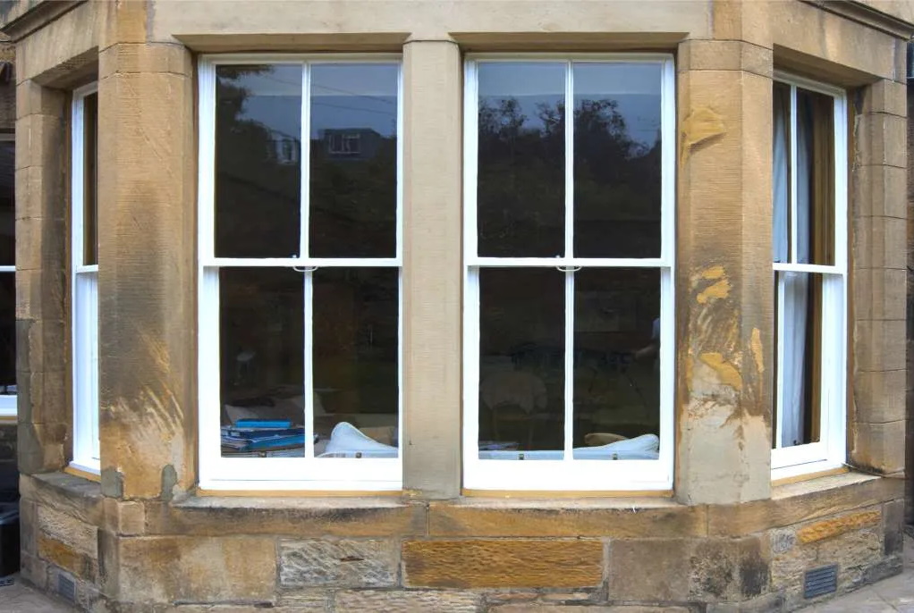 Local Business Listing